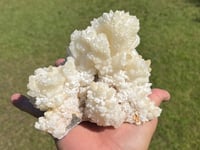Image 9 of White Calcite Crystal Reef Formation Specimen #1240