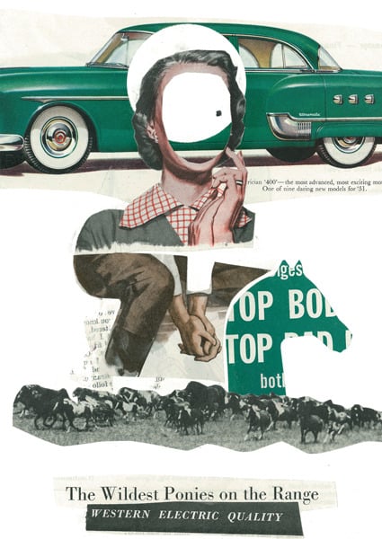 Image of The Wildest Ponies on the Range