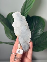 Image 8 of CHOOSE YOUR OWN SHIMMERY CHALCEDONY CLUSTERS -BULGARIA-