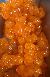 Image 5 of Bead Blobs- Super Naturoe (3 size options) 