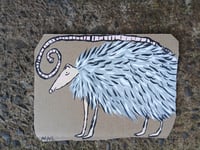 Image 3 of Possum 2