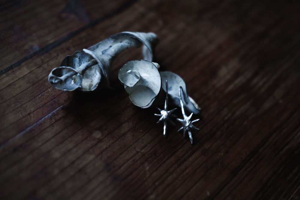 Image of Tân y Nos Earrings ~ small