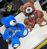 Image 5 of Bdsm Teady Bears set of 2