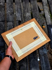 Image 6 of STATEMENT  - Antique engraving “The Game LOST”  with real preserved web