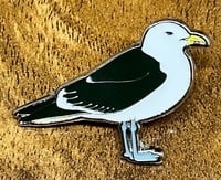 Image 2 of Cape Gull - No.97 - UK Birding Pins - Enamel Pin Badge