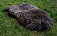 Image 2 of Harting Black Sheepskin #6