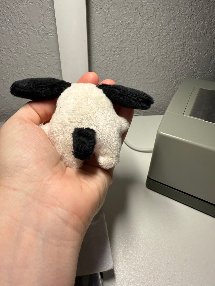 Image of Tiny pup