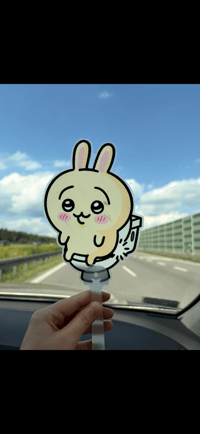 Usagi toilet Fan 