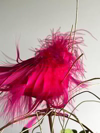 Image 3 of Pink birds  