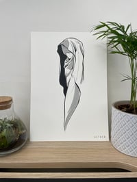 Image 2 of Shroud