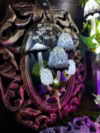 Image 3 of Inky cap frame led