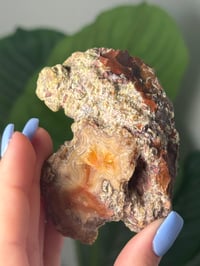 Image 3 of CREAMY LAGUNA AGATE WITH INSANE PARALAX AND MOSSY INCLUSIONS