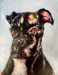 Image 1 of pet portraits starting at $200