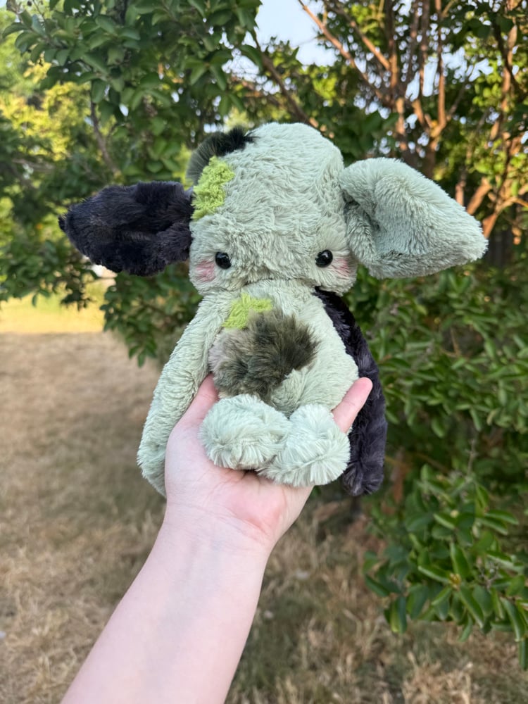 Image of moss collector