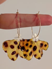 Image 1 of Boucles d'oreilles ginko graou
