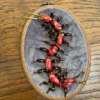 Image 4 of Centipede (d,  4x5 inches) 