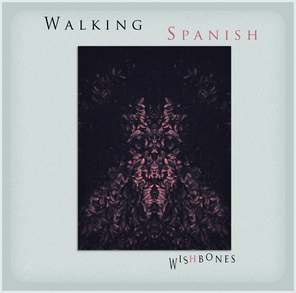 Image of "Wishbones" CD
