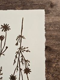 Image 4 of Matricaria • Linocut paper print