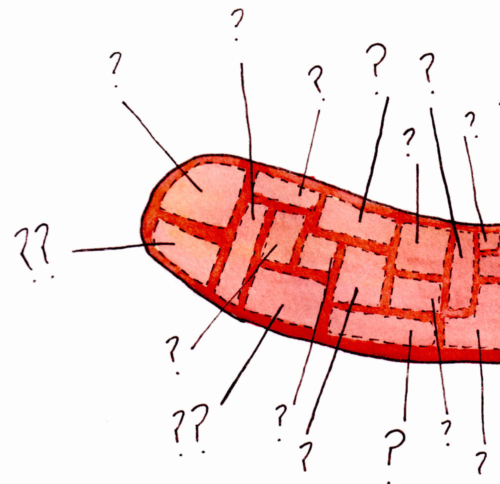Image of Hot Dog Mystery 