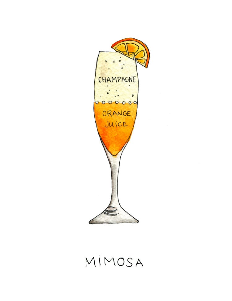 Mimosa - Archival Art Print | Drywell Art