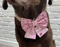 Image 7 of Handmade Valentine Dog Bow - Pink or Blue with Metallic Heart Vinyl Print