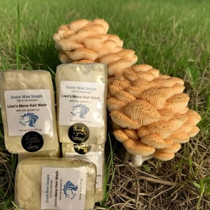 Image of Lion's Mane Hair Wash (with hair growth oil)