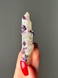 Image 1 of PURPLE CUBIC FLUORITE ON QUARTZ -INNER MONGOLIA- V