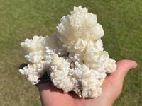 Image 1 of White Calcite Crystal Reef Formation Specimen #1240