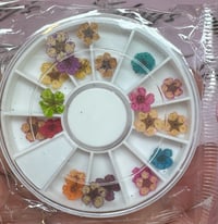 Image 2 of Nail art wheel 