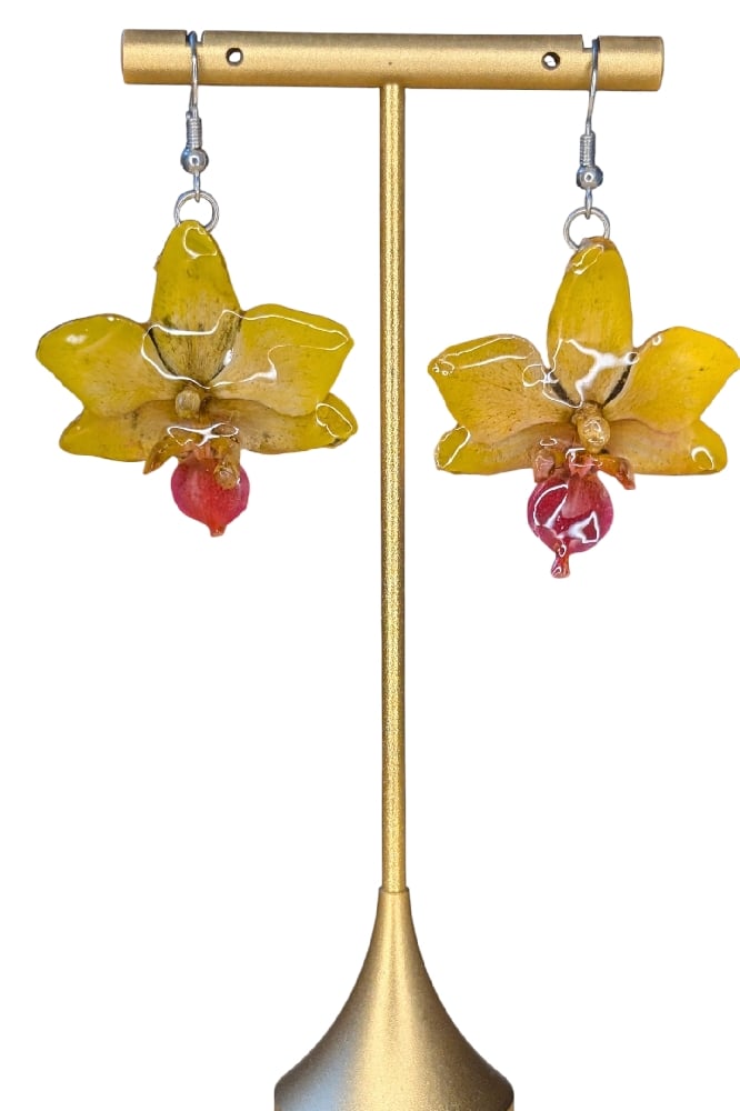 Image of Dendrobium Hybrid Earrings