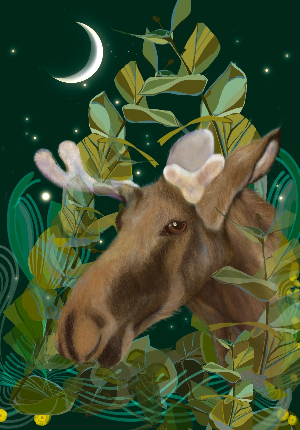 Image of Postcards From July + Moose Looking At You