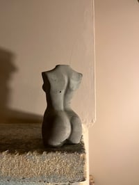 Image 2 of CEMENT FEMALE - 2