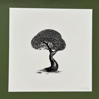 Image 1 of Tree