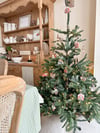 The Gingerbread Farm Collection - 3 options 