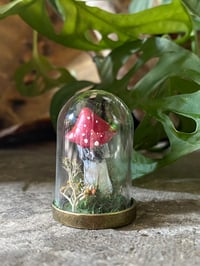 Image 3 of Mintaure Magic fly agaric mushroom in a glass dome 