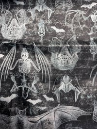 Image 3 of XL Scrunchie Bats!!!