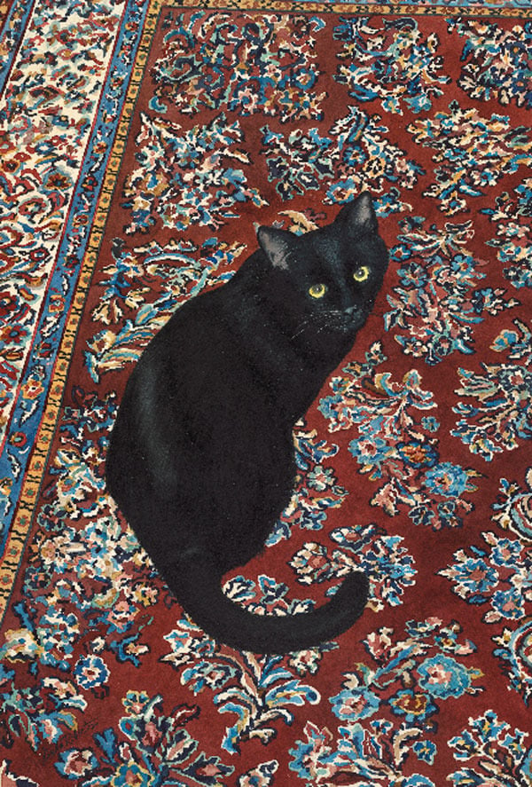 Image of Black Cat