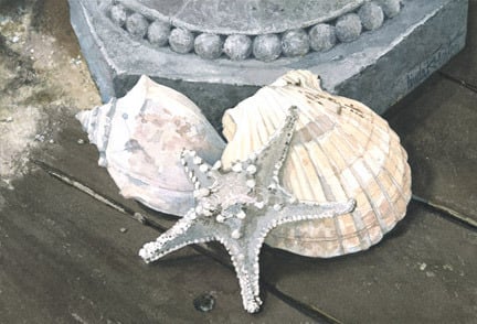 Image of Gifts from the Sea