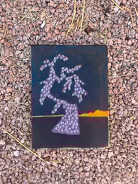 Image 2 of chain fruit 2