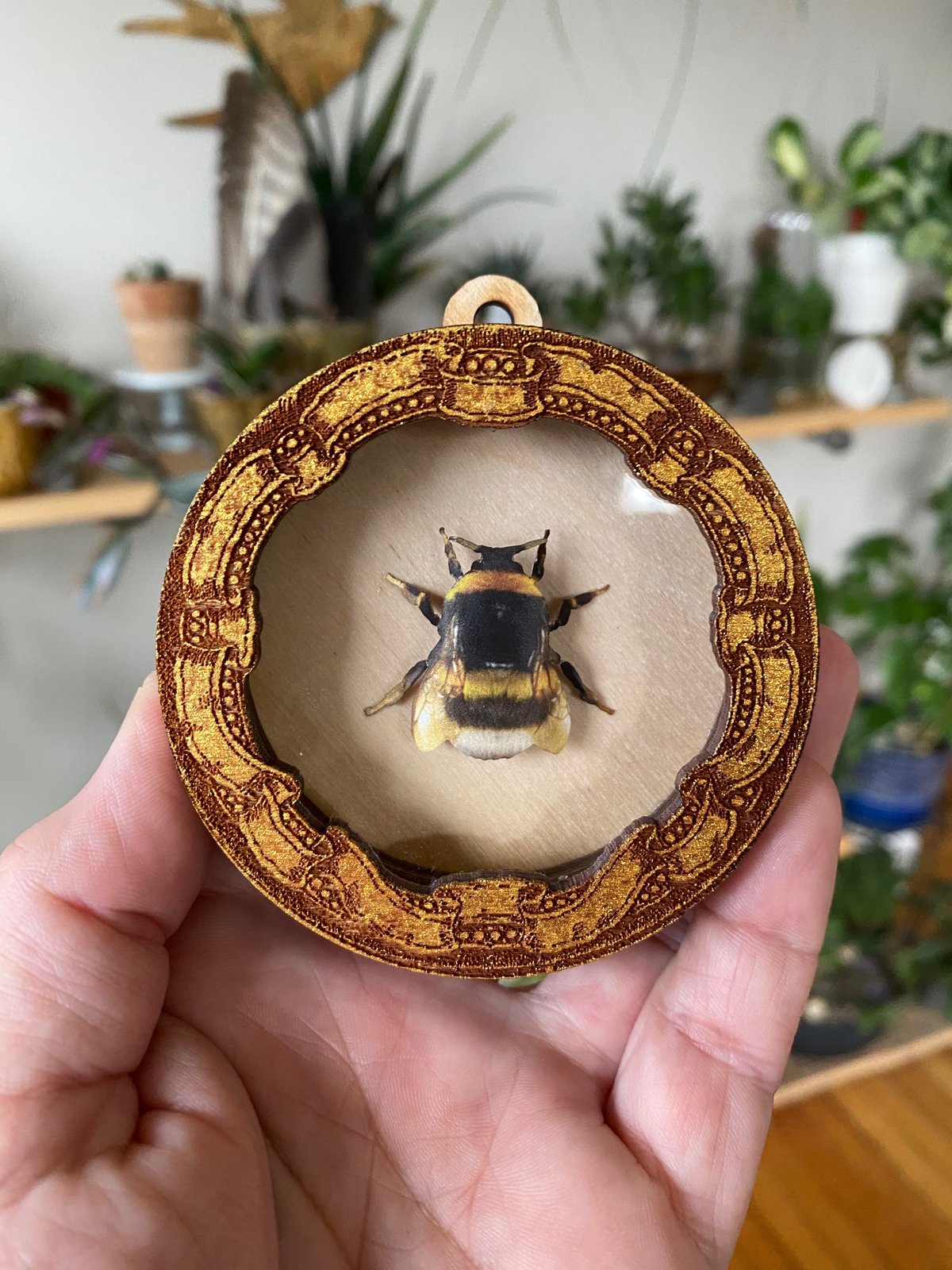 Image of Mini Bee Shadowbox - A