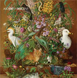Image of Ascent/Descent Album