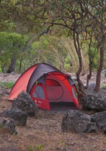 Image of Tent