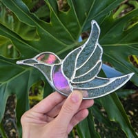 Image 3 of Textured Clear Hummingbird