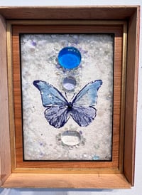 Image 2 of Morpho- Alexa Kerabin