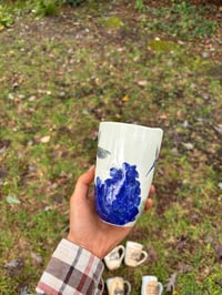 Image 6 of Hummingbird hydrangea to go cup