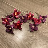 Image 1 of Lyslenke i rosatoner - TinaTing