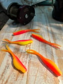 3" Chubby Minnow Split tail - AC Special