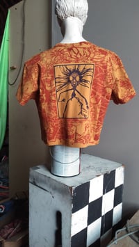 Image 2 of Twig Boy Crop [XL] 