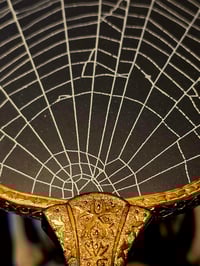 Image 3 of Large Vintage Hand mirror with Real Preserved Web...