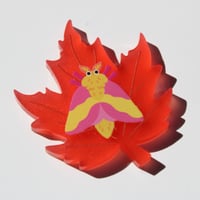 Image 1 of Rosy Maple Moth Frosted Acrylic Pin
